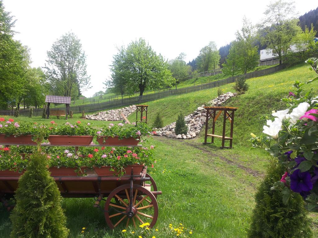 Pensiunea Vranis Sadova  Bagian luar foto